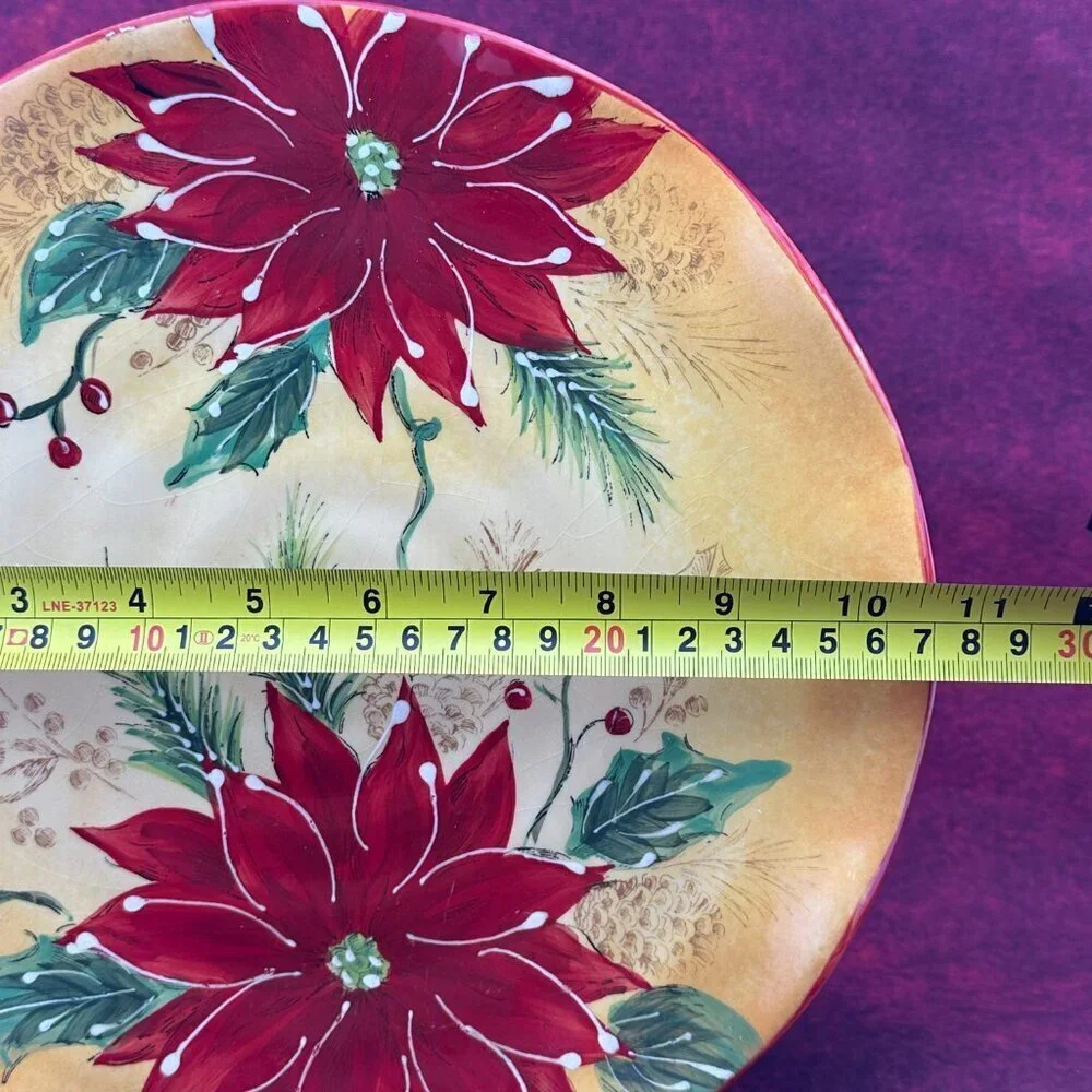 HONEY POINSETTIA CERAMIC DINER PLATE, HAND PAINTED, MUTICOLOR 10.5 inch